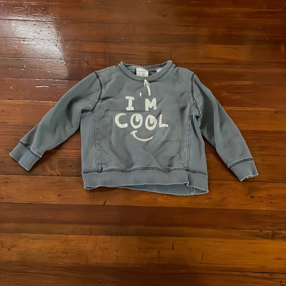 Zara Other - Zara Sweatshirt